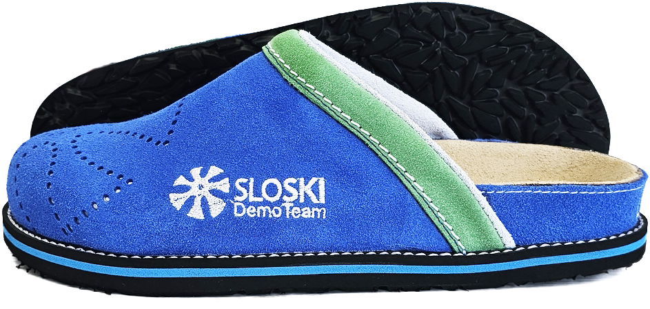 DemoTeam 2024 - svetlo modra