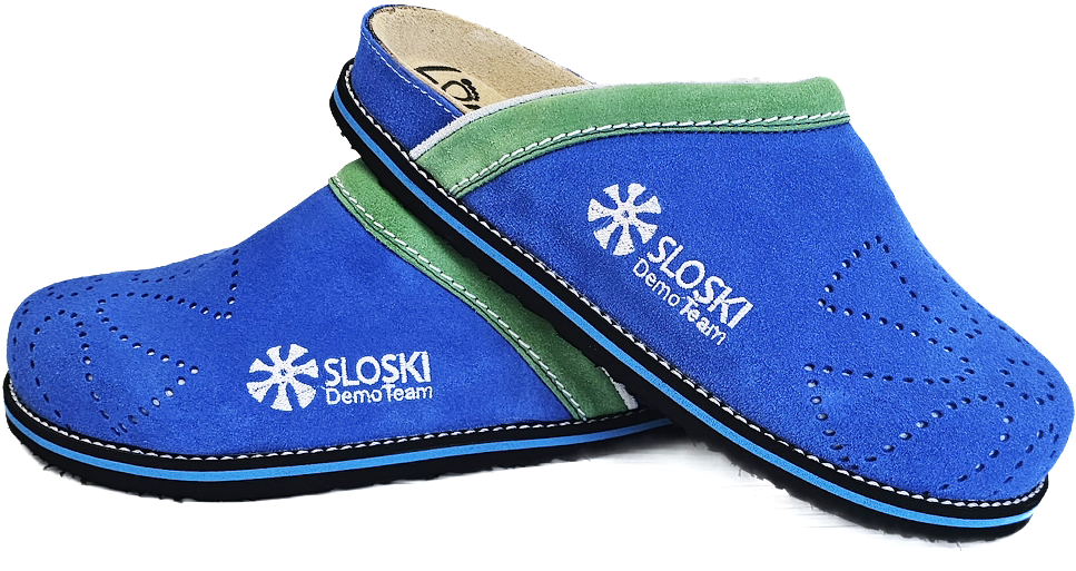 DemoTeam 2024 - svetlo modra