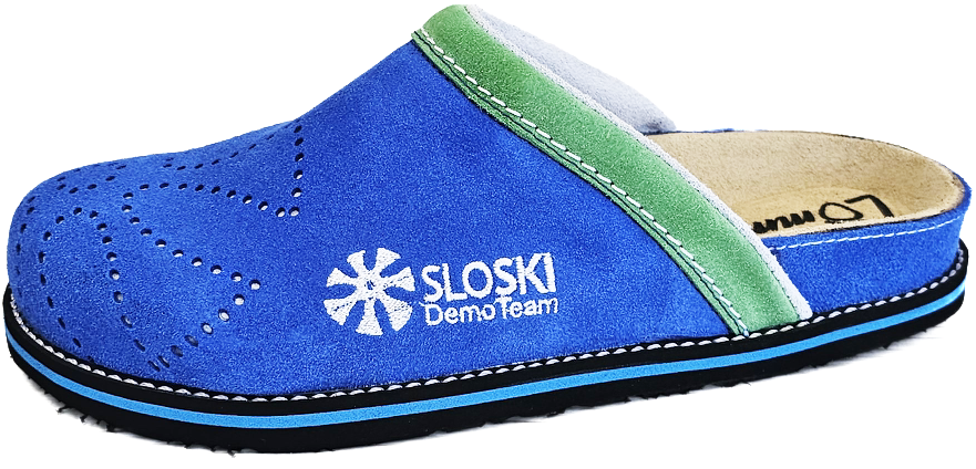 DemoTeam 2024 - svetlo modra