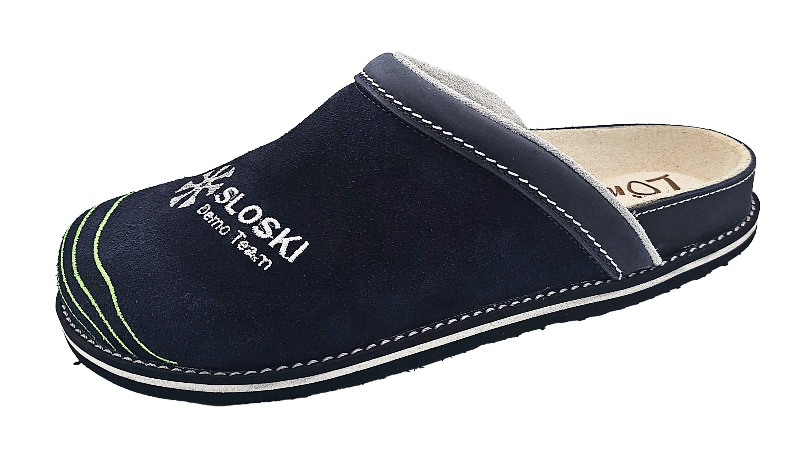 DemoTeam 2026 - temno modra