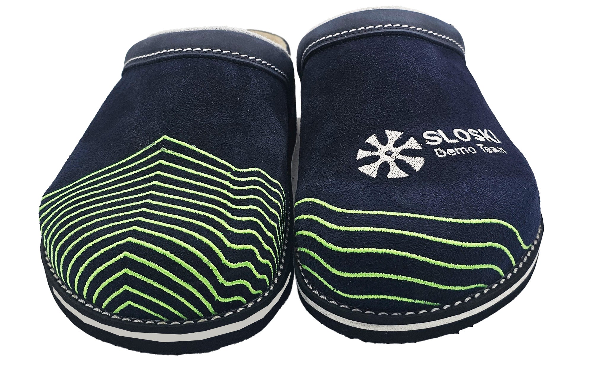 DemoTeam 2026 - temno modra