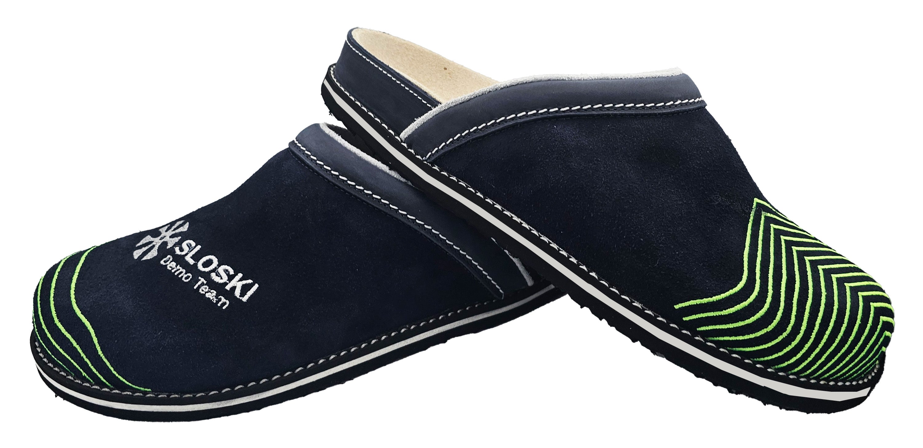 DemoTeam 2026 - temno modra